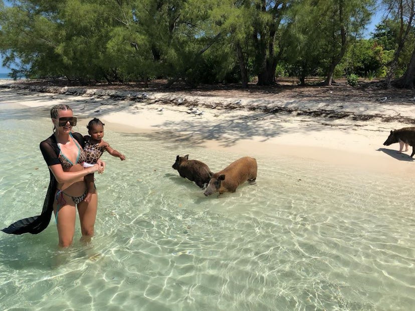 pig-beach-feral-hog-khloe.jpg