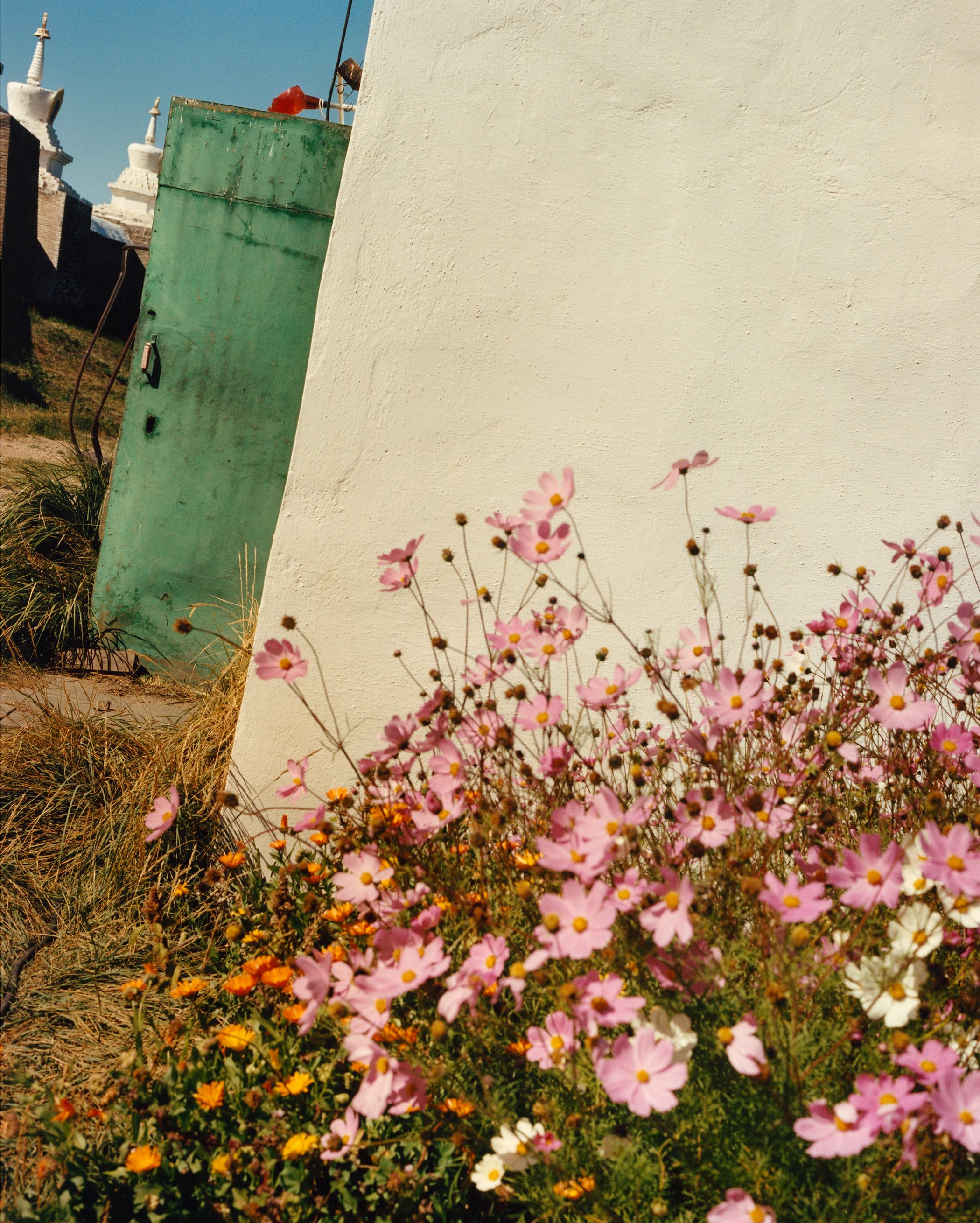 Jamie Hawkesworth Pays Homage to Joan Didion