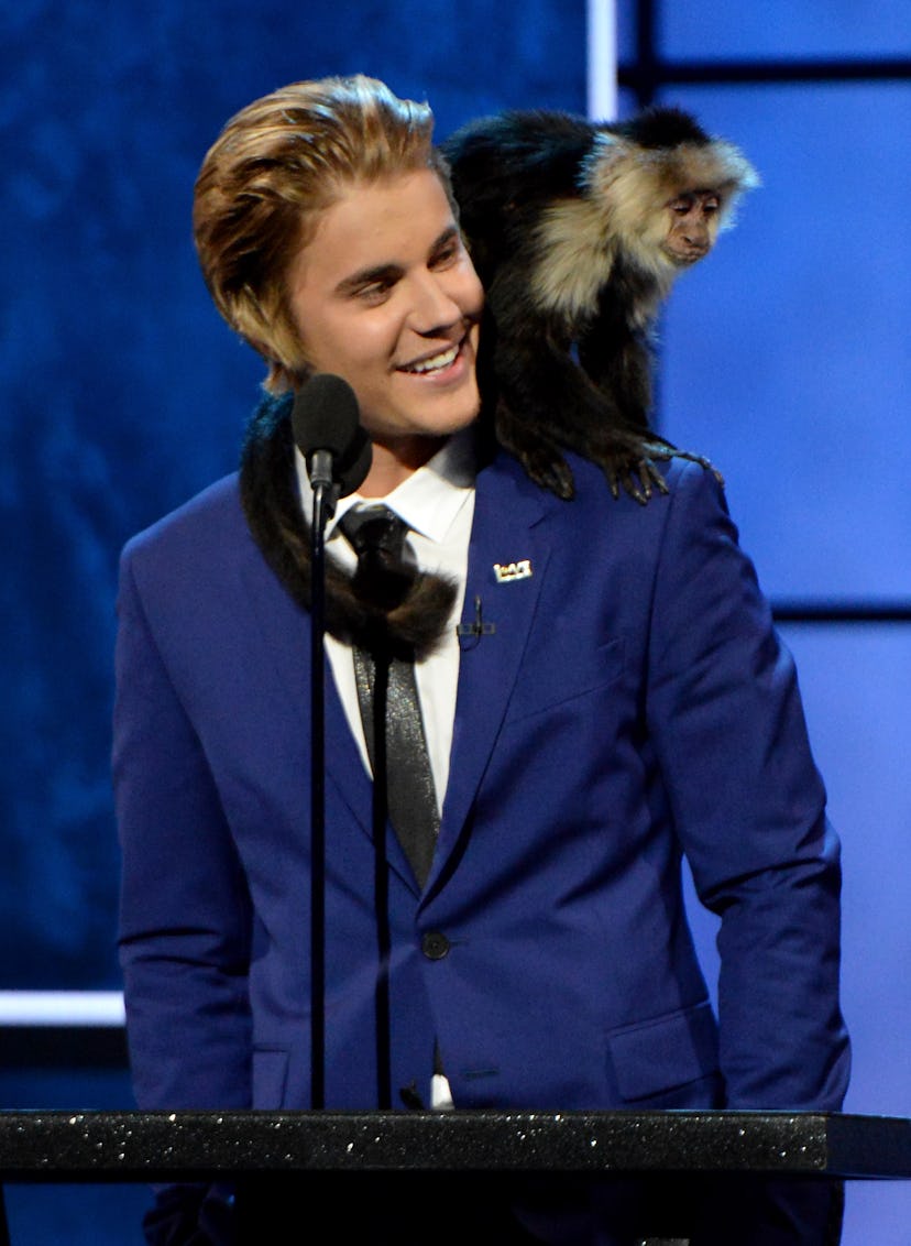 The Comedy Central Roast Of Justin Bieber - Show