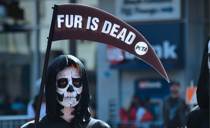 US-lifestyle-DEMONSTRATION-ANIMALS-PETA-animal