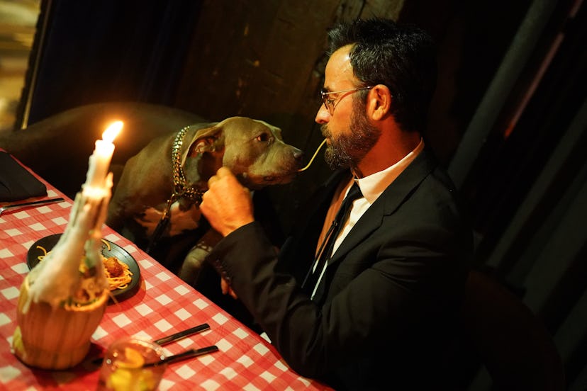Disney+ And The Cinema Society Host A Special Screening Of "Lady And The Tramp"