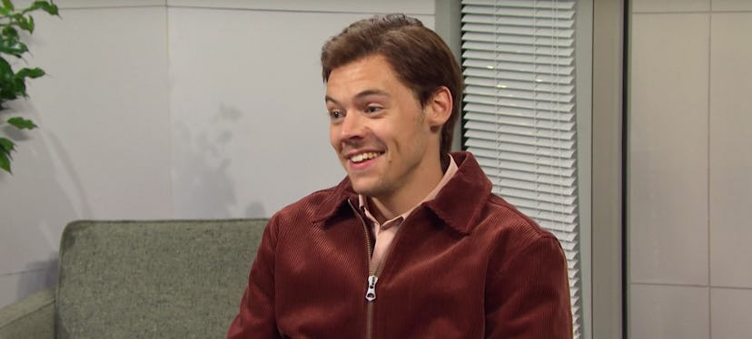 harry styles on snl, sara lee