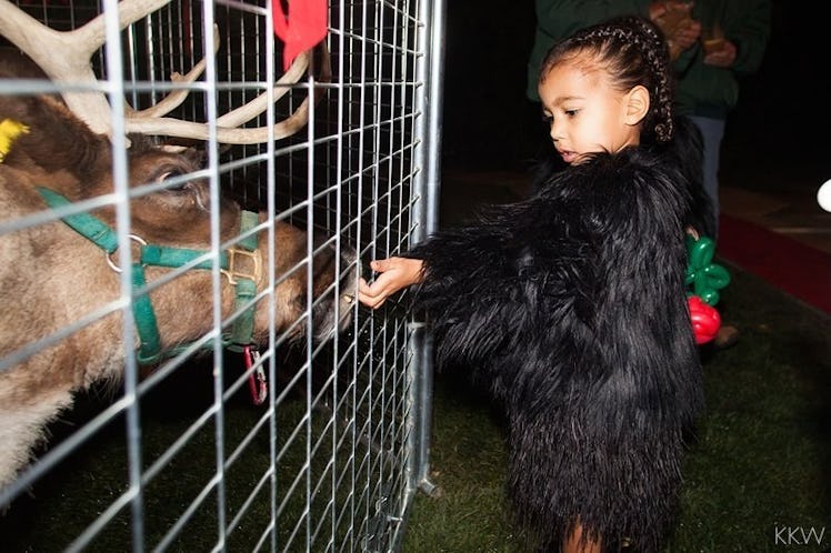 North West feeding a deer behind a fence during Christmas