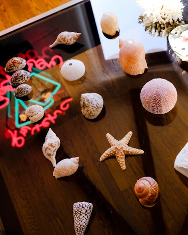 Bettina Korek’s mother’s collection of seashells in her Los Feliz home