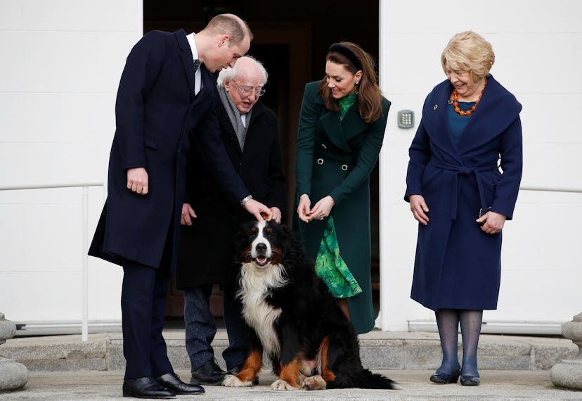 Prince WIlliam and Kate meet a dog.
