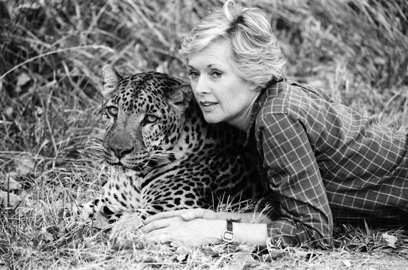 tippi hedren and tiger