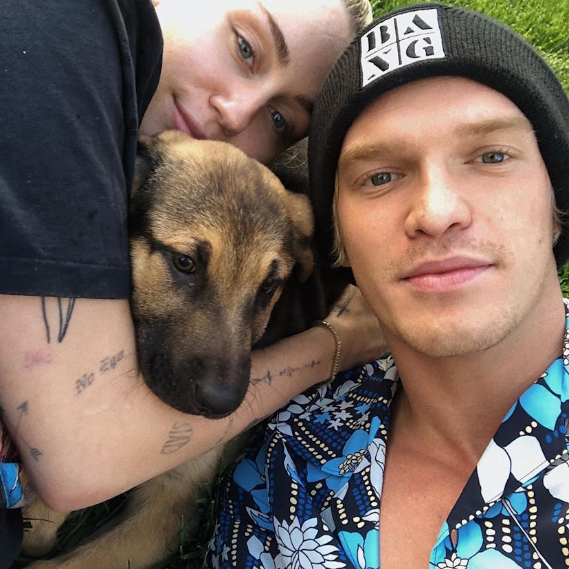 Miley Cyrus, Cody Simpson, and their new dog Bo