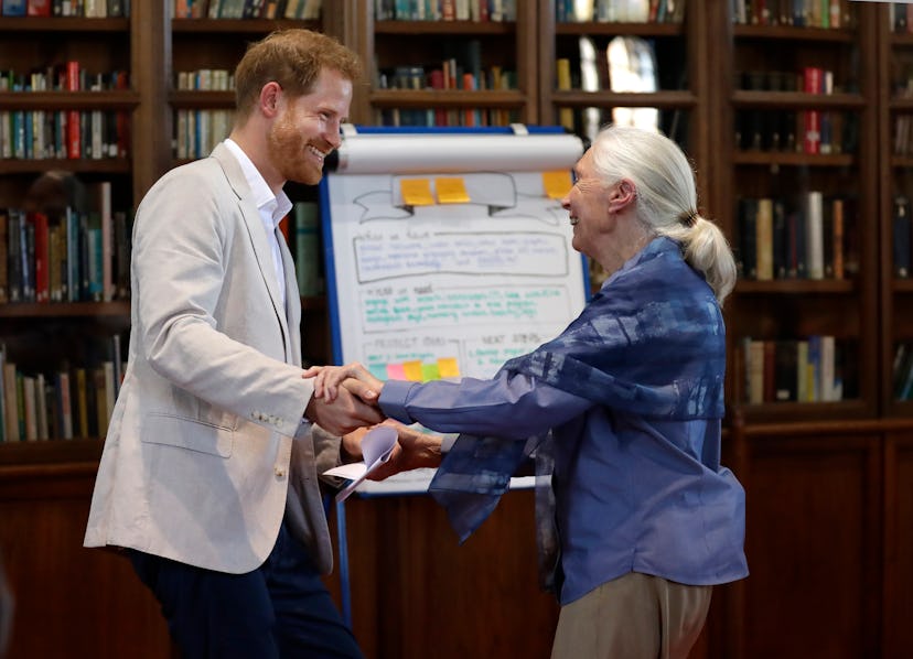 Prince Harry and Jane Goodall