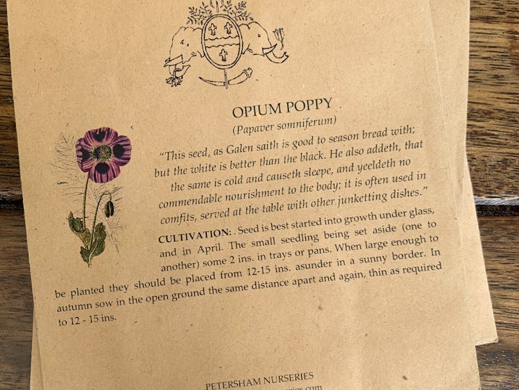 An explanation that came with poppy seeds that Simone Rocha has from Petersham Nurseries 