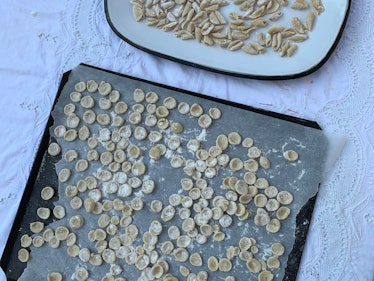 Laila Gohar’s orcchiette on a baking tray and in a bowl being prepared on Simone's kitchen counter