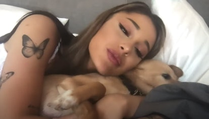 Ariana Grande and a canine.