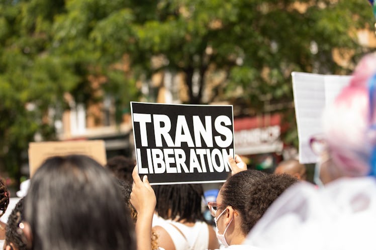 Black and white "TRANS LIBERATION" protest sign