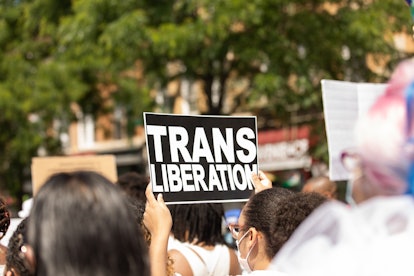 Protesters at the Black Trans Lives Matter Rally in Brooklyn with "Trans Liberation" posters