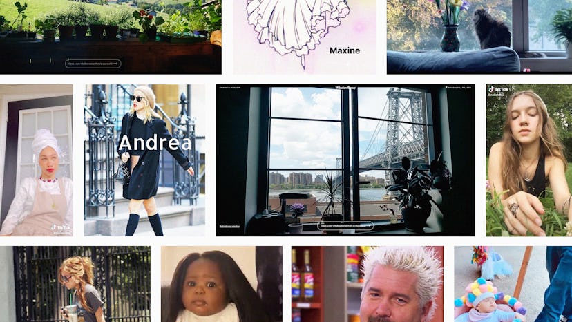A collage of viral memes