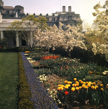 White House Rose Garden in 1963