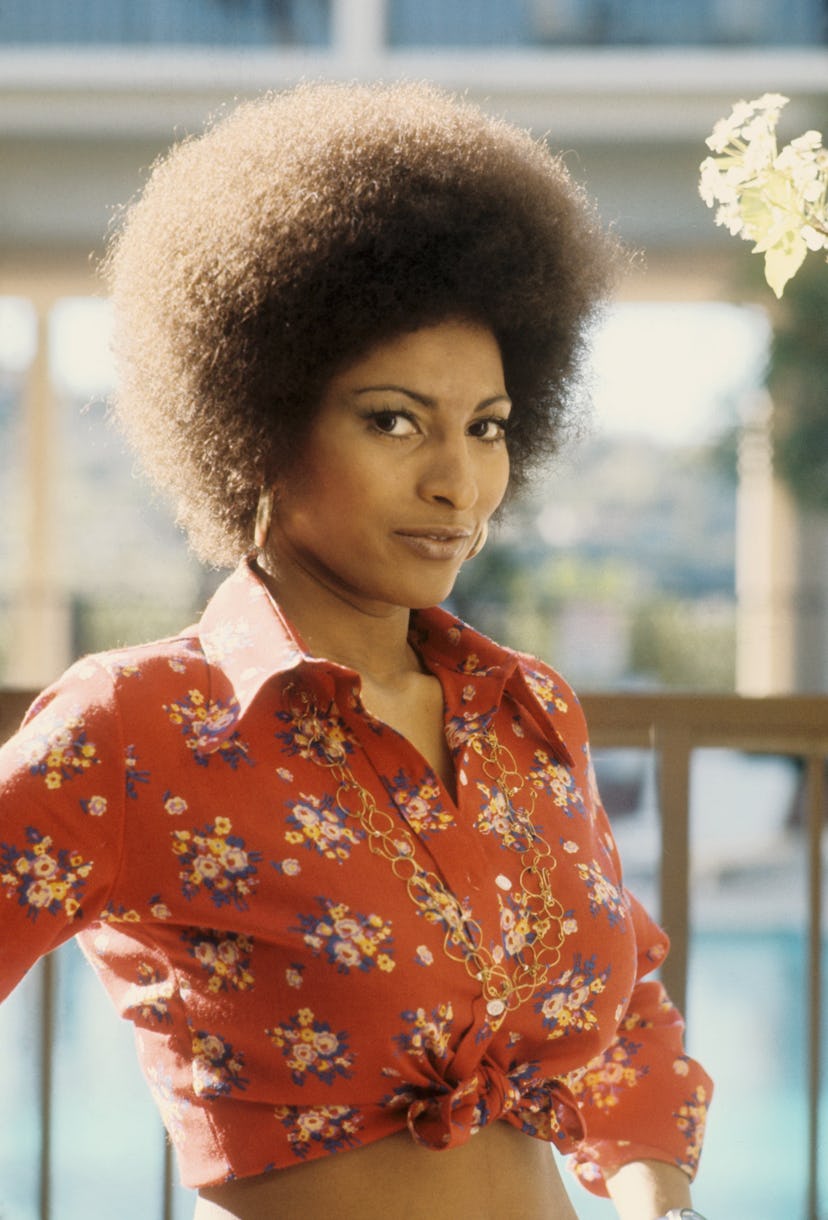 young pam grier