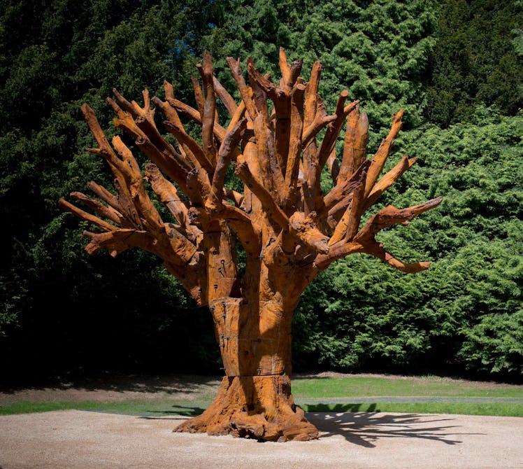 2020_NYR_19633_0001_000(ai_weiwei_iron_tree)A