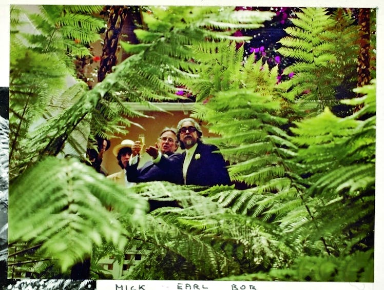 Ferns obscuring Mick Jagger