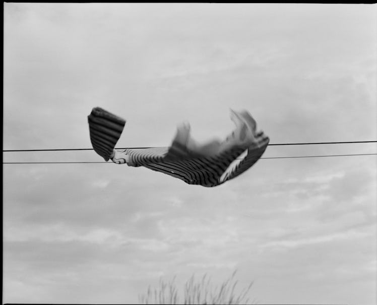 “My Mom’s shirt drying on a windy day, March.” Photograph by Theo Wenner