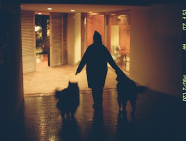 “Returning home from her nightly walk with the dogs.” Photograph by Theo Wenner 