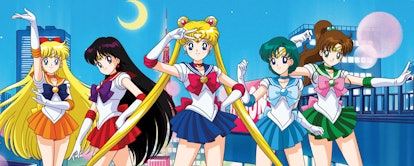Sailor Senshi from Sailor Moon