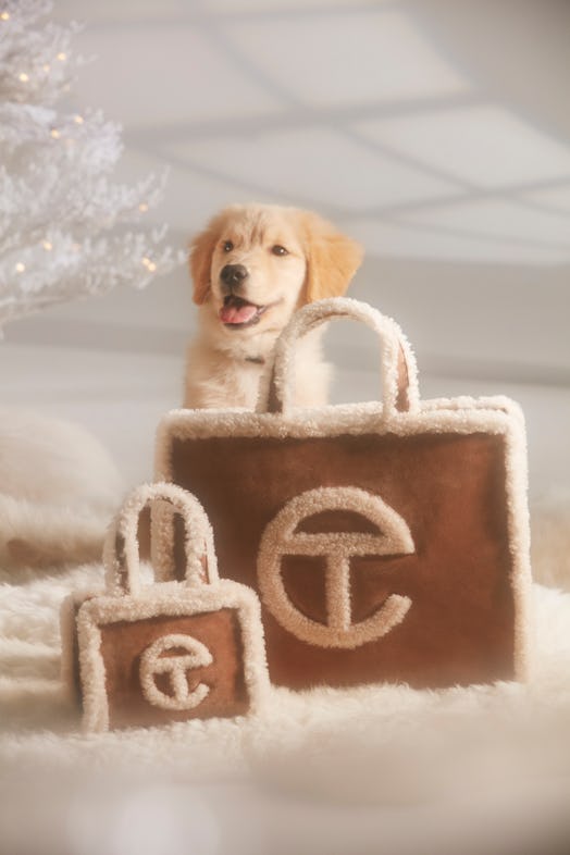 An adorable dog with two Telfar x Ugg bags