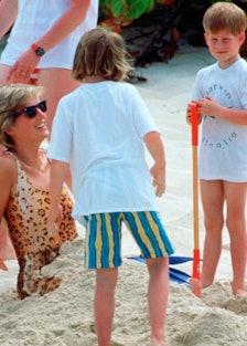Princess Diana buried in the sand