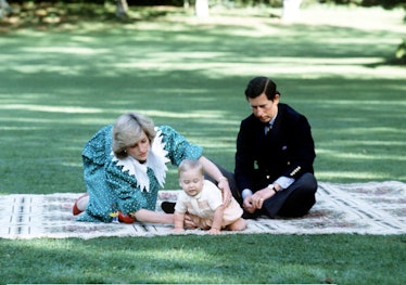 Princess Diana, Prince William, and Prince Charles