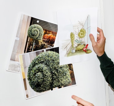 Charlap Hayman holding three photographs of snail-shaped topiaries and a watercolor for VitraHaus