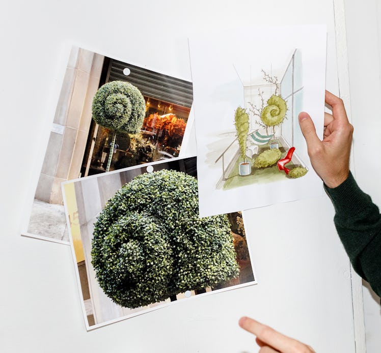 Charlap Hayman holding three photographs of snail-shaped topiaries and a watercolor for VitraHaus