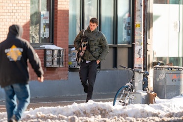 anwar hadid carrying pup in snow