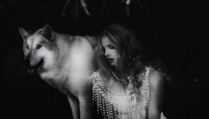 Lana Del Rey and a white wolf.