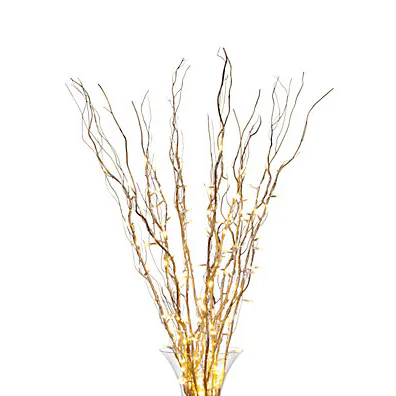 Festive Finds