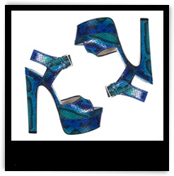 brian atwood karin