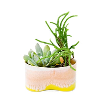 Pinched & Glazed Planter