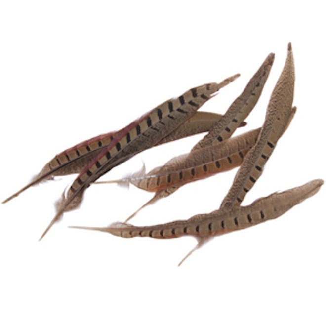 Midwest Designs Ringneck Pheasant Feathers