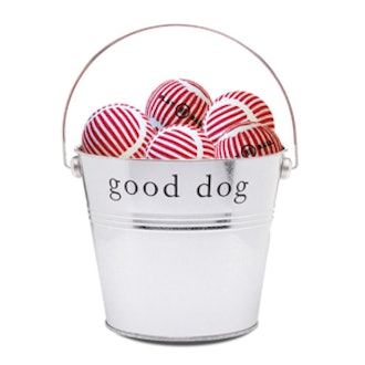 Dog Play Balls Gift Bucket