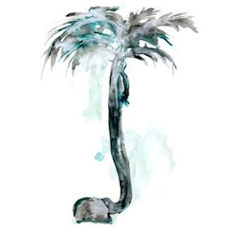 Tall Palm Tree Print