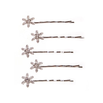 Aster Bobbypin Set