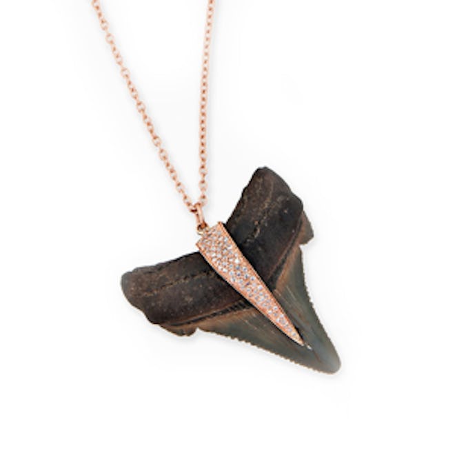 Large Shark-Tooth Necklace