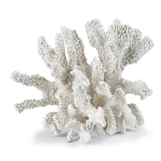 White Coral Chunk