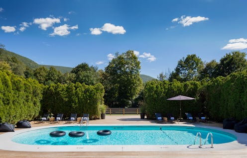 View of the pool surrounded by trees and bushes in Hudson Valley