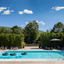 View of the pool surrounded by trees and bushes in Hudson Valley