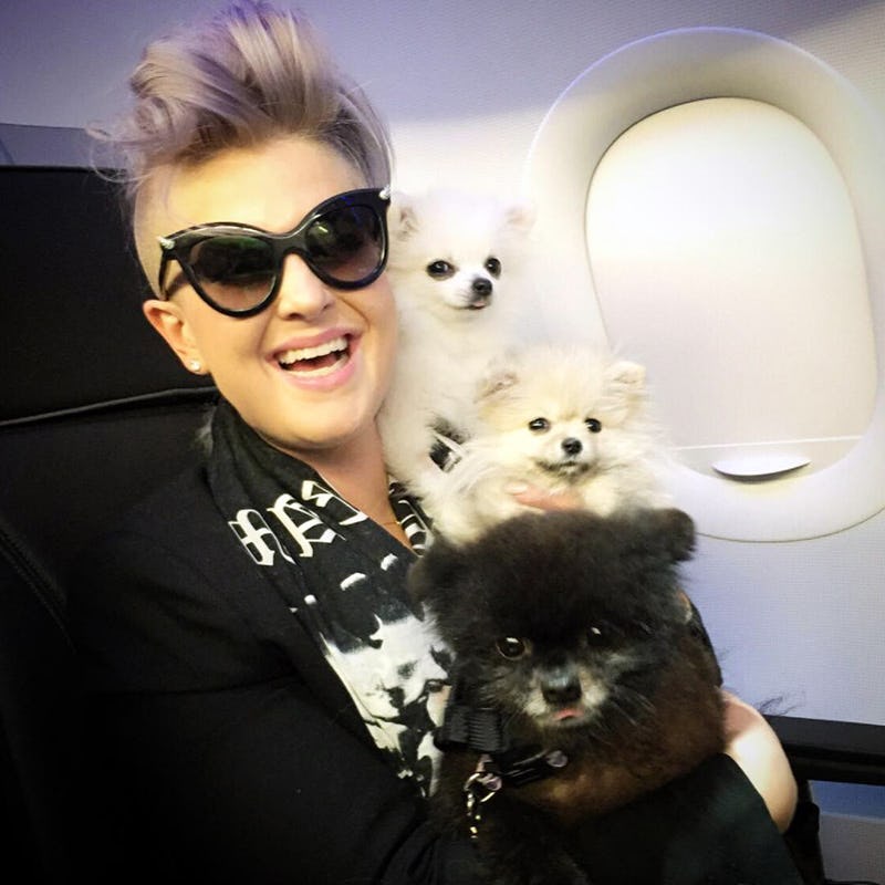 Who Is Kelly Osbourne's Fiancé? All About Her \, image size:1200x900