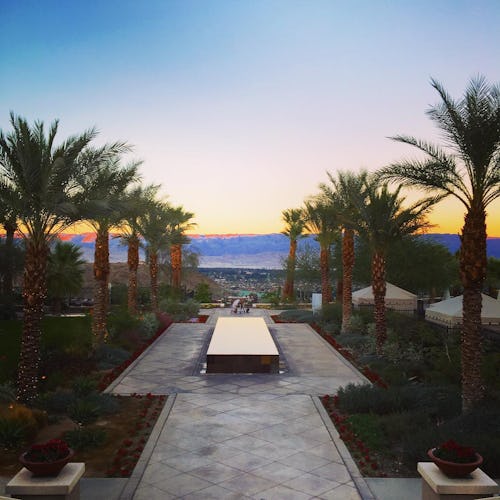 The view of the beach through palm trees in Palm Springs