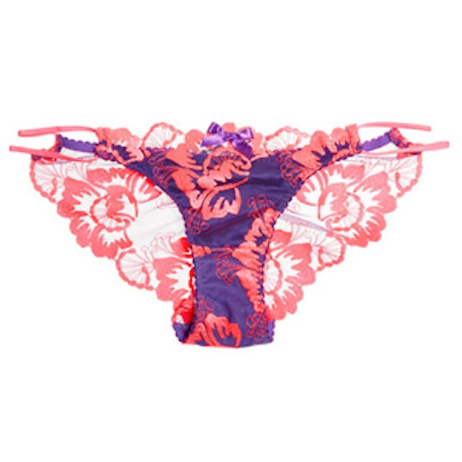 Karlie Embroidered Tulle and Silk-Satin Briefs
