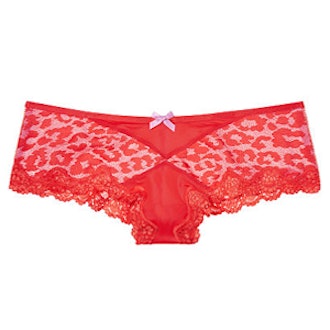 Leopard Lace Cheeky Panty