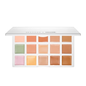 Correct + Conceal Palette