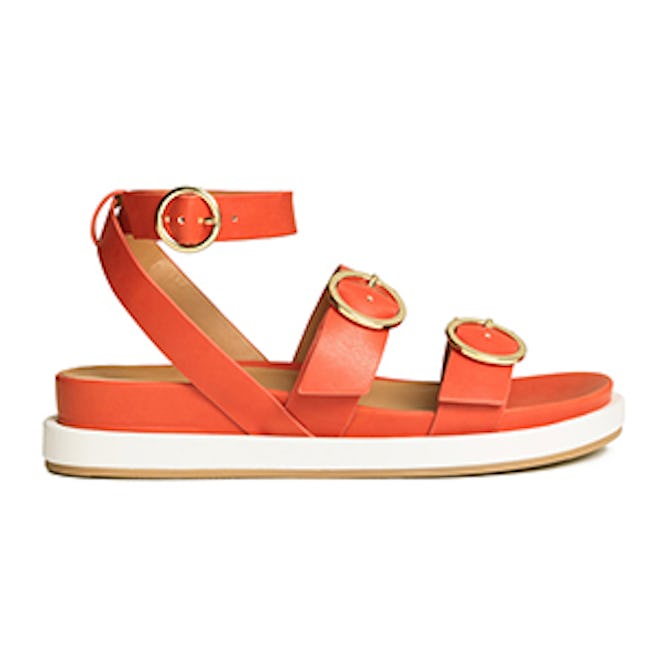 Buckled Sandals