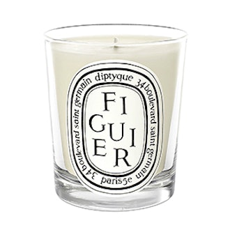 Figuier Candle